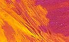 25-30 kb thumbnail JPG image of microphotograph by Doug Craft - links to larger image in right frame