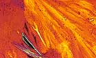 25-30 kb thumbnail JPG image of microphotograph by Doug Craft - links to larger image in right frame