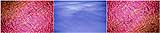 25-30 kb thumbnail JPG image of photomontage by Doug Craft - links to larger image of Enveloping in right frame