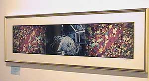 JPG image of art exhibition by Doug Craft