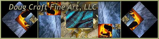 JPG file banner for Doug Craft Fine Art, a website showing fine art collage photomontage paintings microphotographs panorama landscapes and experimental photos inspired by the Golden Ratio, Sacred Geometry, and the fractal structure of nature